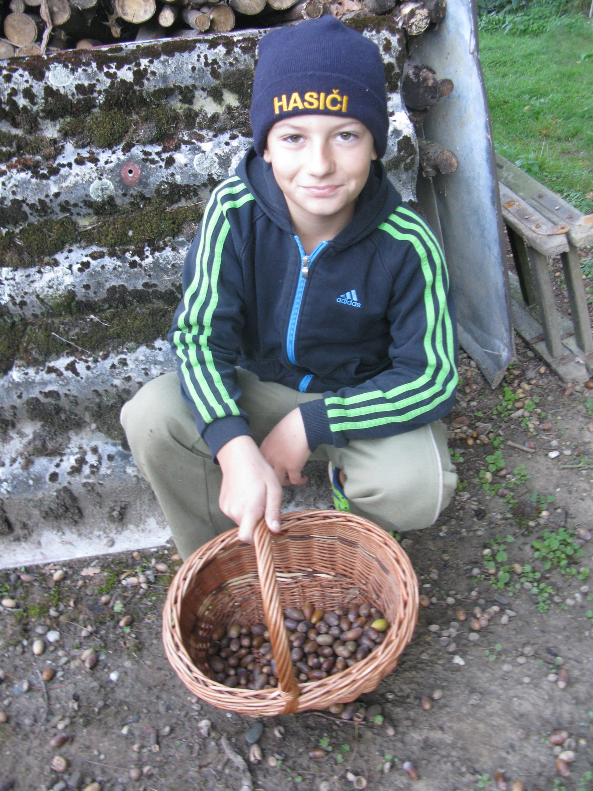 Brigáda sběr žaludů 2018