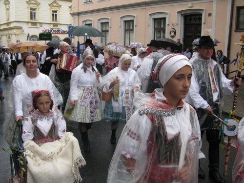 Slavnosti vína 2019 - fotky 7  